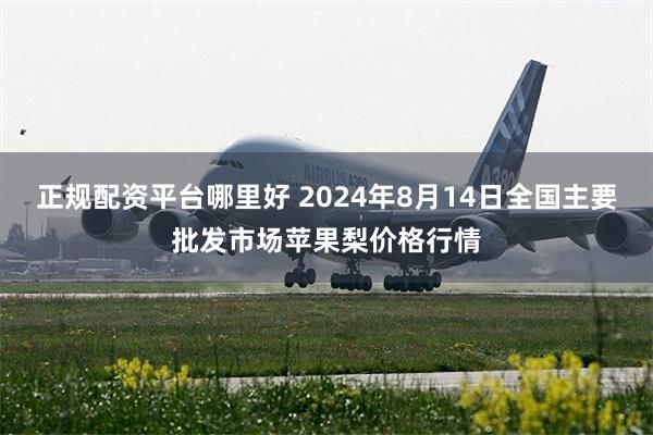 正规配资平台哪里好 2024年8月14日全国主要批发市场苹果梨价格行情