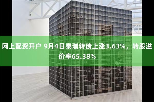 网上配资开户 9月4日泰瑞转债上涨3.63%，转股溢价率65.38%