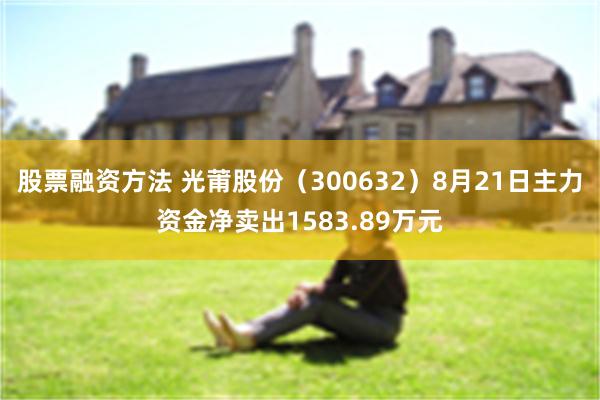 股票融资方法 光莆股份（300632）8月21日主力资金净卖出1583.89万元