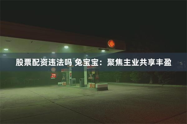 股票配资违法吗 兔宝宝：聚焦主业共享丰盈