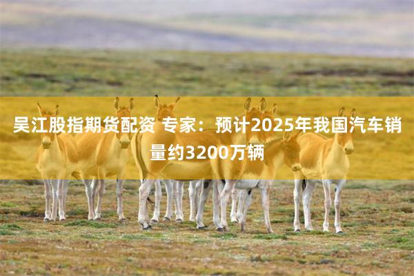 吴江股指期货配资 专家：预计2025年我国汽车销量约3200万辆