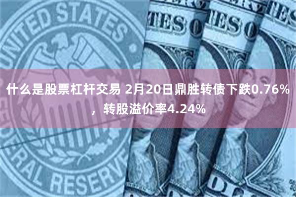 什么是股票杠杆交易 2月20日鼎胜转债下跌0.76%，转股溢价率4.24%