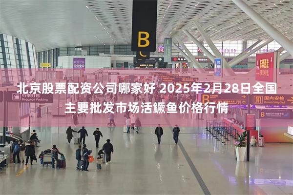 北京股票配资公司哪家好 2025年2月28日全国主要批发市场活鳜鱼价格行情