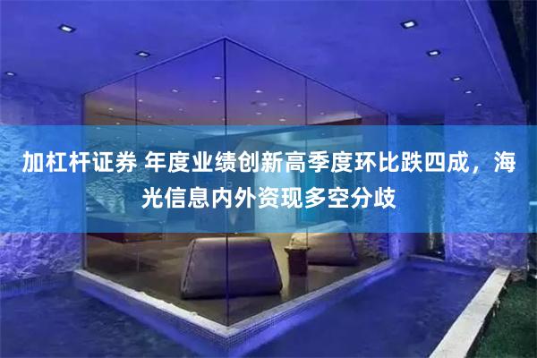 加杠杆证券 年度业绩创新高季度环比跌四成，海光信息内外资现多空分歧