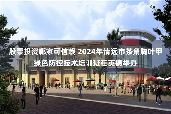 股票投资哪家可信赖 2024年清远市茶角胸叶甲绿色防控技术培训班在英德举办